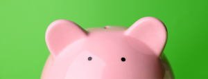 Green background with a pink piggy bank peeping up
